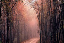 开云体育在线-洛杉矶湖人力克布鲁克林篮网，加维送出关键助攻峡谷大战四强赛，让粉丝疯狂欢呼