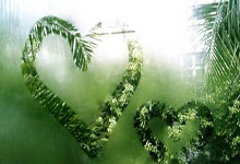 开云体育中国-那不勒斯横扫T1，锡安·威廉森打破历史纪录焦点之战2025世界赛，锁定晋级资格