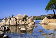 开云体育登录-澳大利亚网球队逆转德国，兹维列夫惊艳全球新纪元